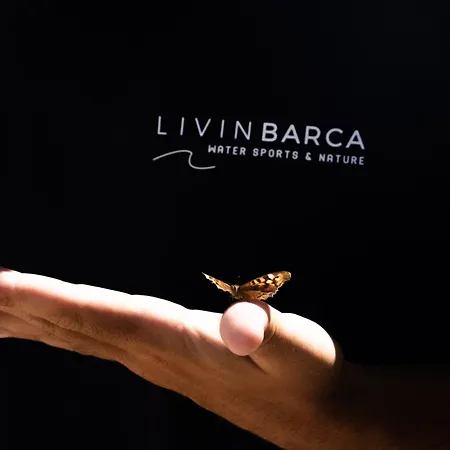 Casa de Férias Livin Barca - Water Sports & Nature *