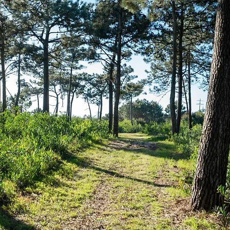 Casa de Férias Livin Barca - Water Sports & Nature