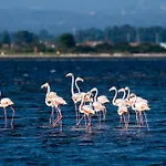 Livin Barca - Water Sports&nature * Torreira