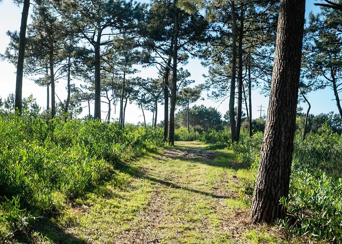 Hébergement de vacances Livin Barca - Water Sports & Nature