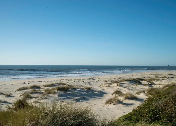 Livin Barca - Water Sports&nature *